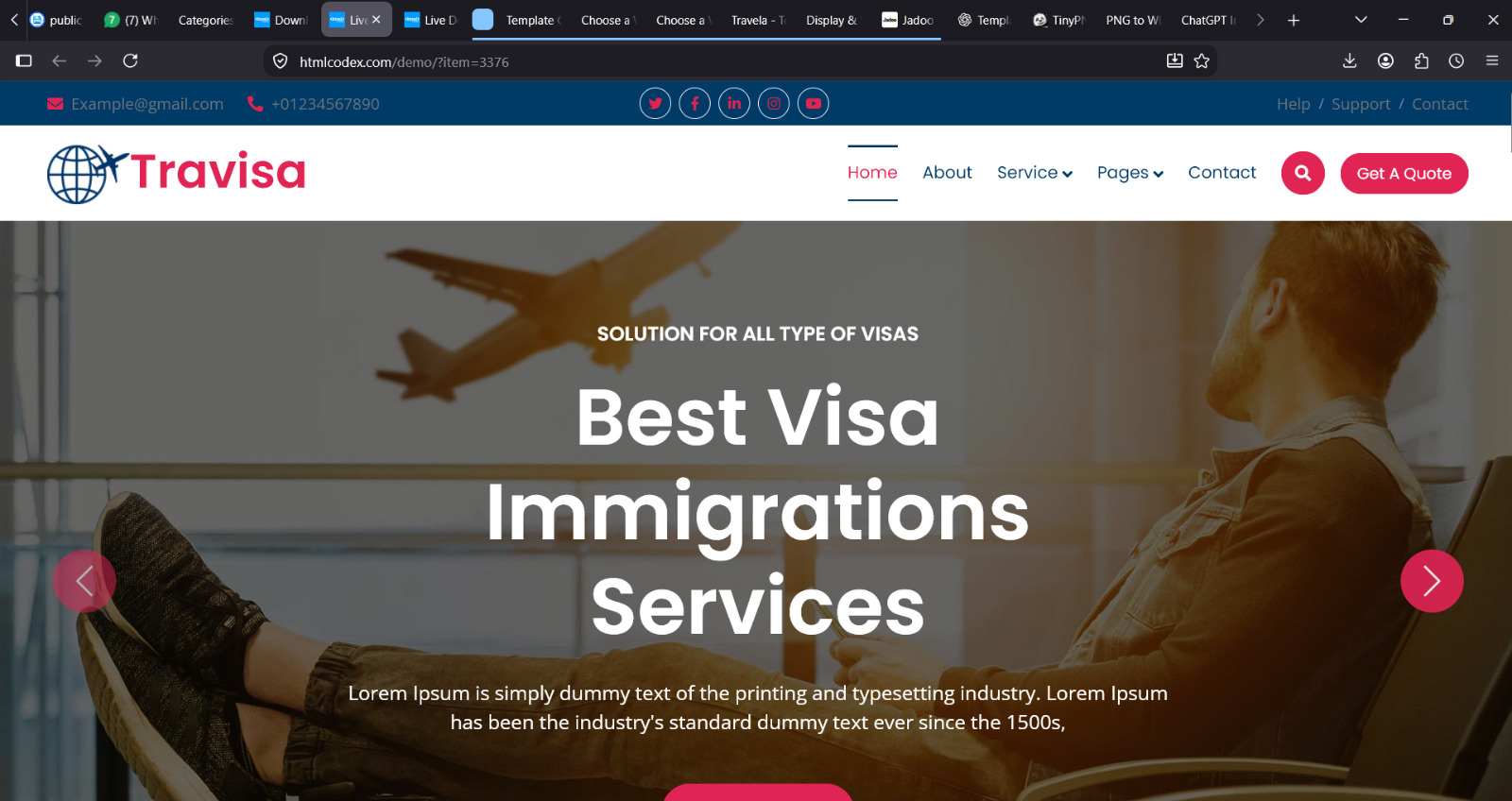 Travisa – Visa & Immigration Services